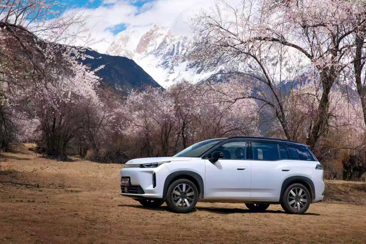 微信图片_20260331143432_7726_1005