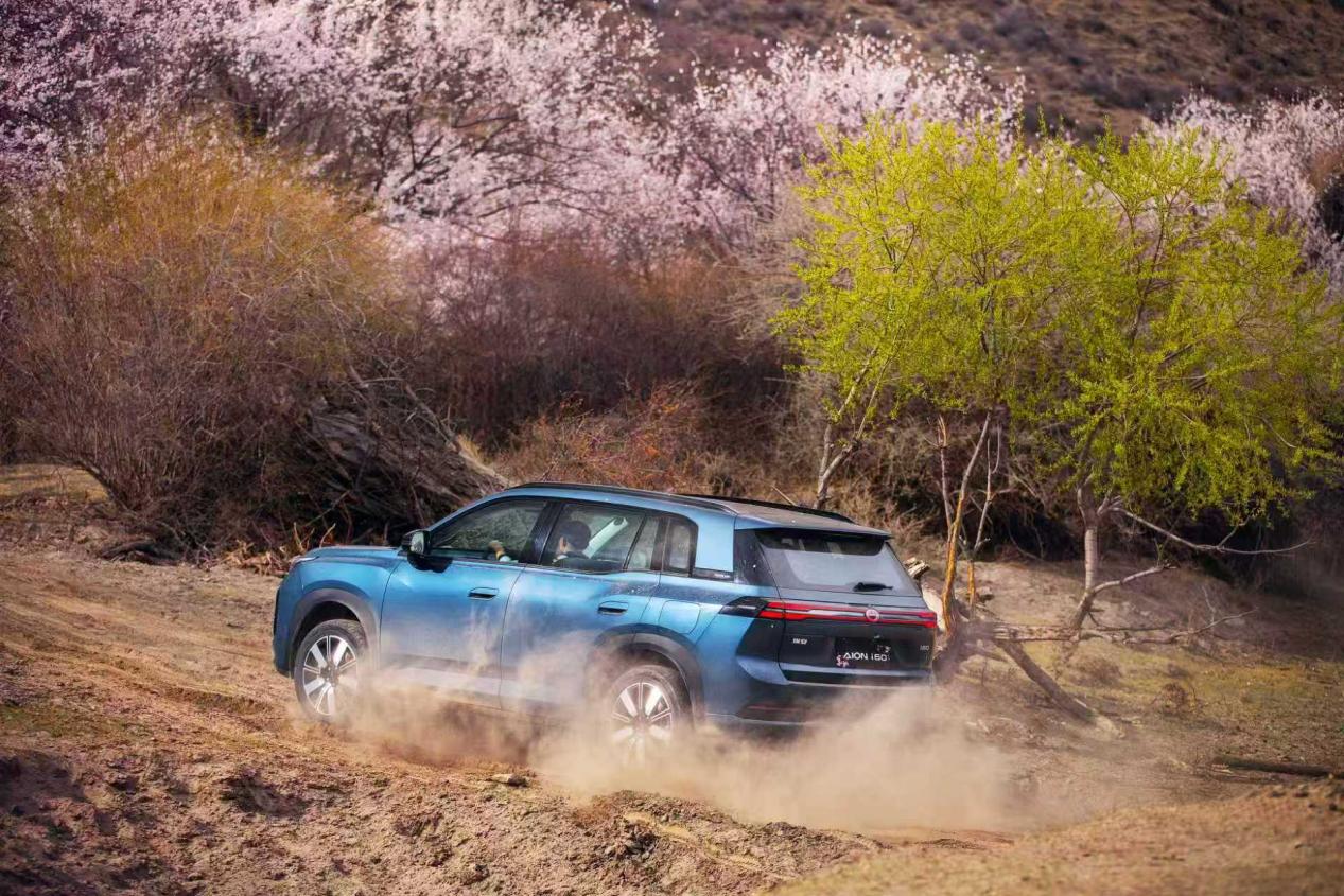 微信图片_20260331143431_7725_1005